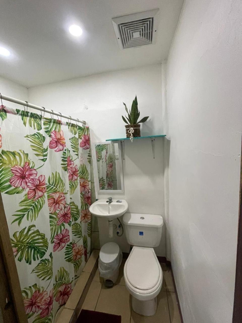 Apartamentos Zamora Puerto Limon Extérieur photo